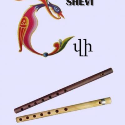 Shevi